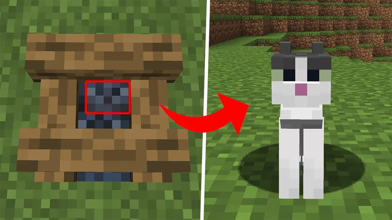 I found every cat possible in Minecraft (#20)