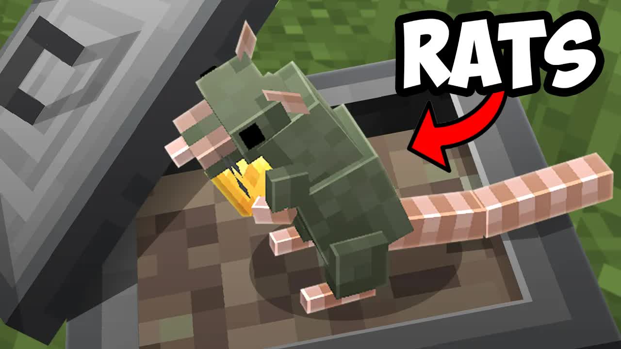 A mod that adds... rats?