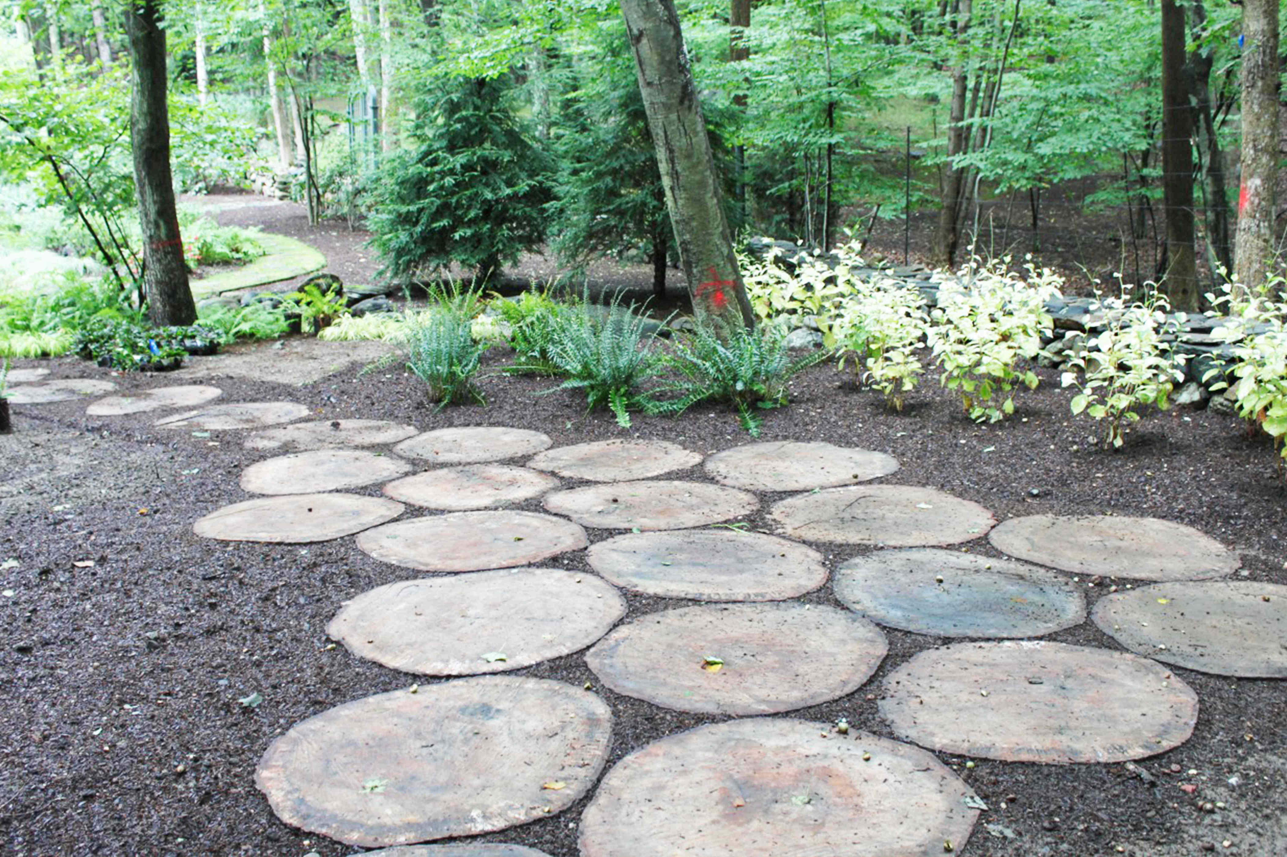 How to transform an old tree into a striking garden pathway