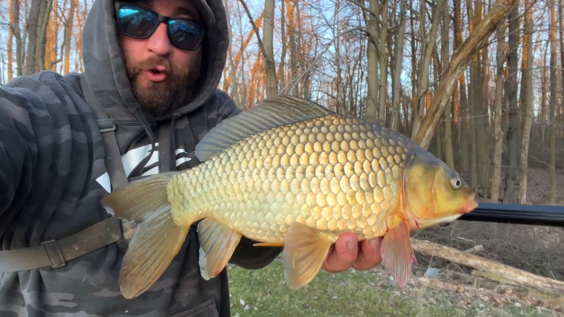 This is what happens when I hook a giant goldfish while targeting carp