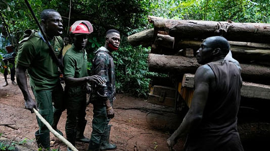 Sunday Abiodun, à gauche, ancien braconnier devenu garde forestier, avec un bûcheron illégal dans la réserve forestière d'Omo, au Nigeria, le 31 juillet 2023