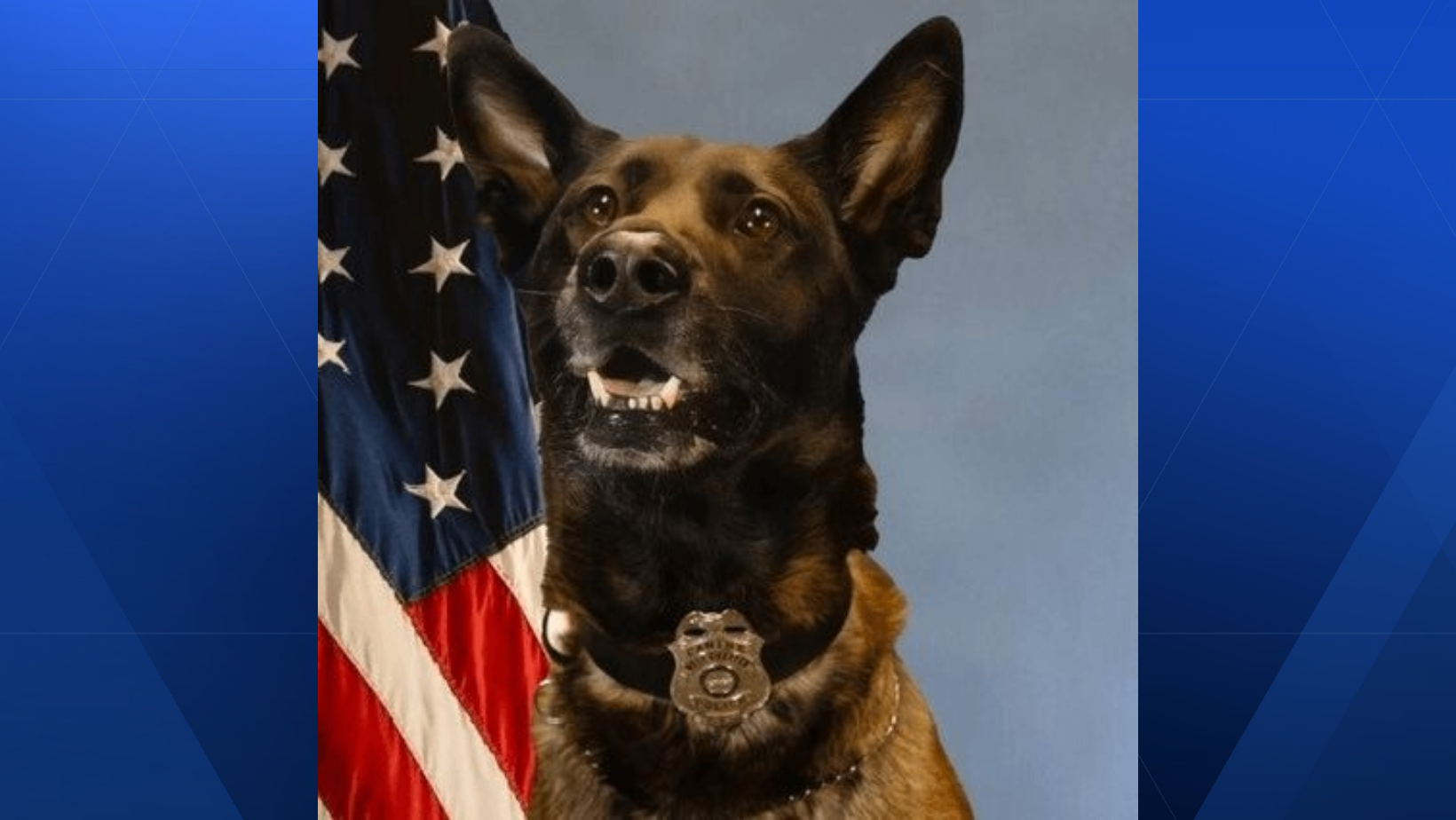 West Chester police mourning death of K-9, Rico