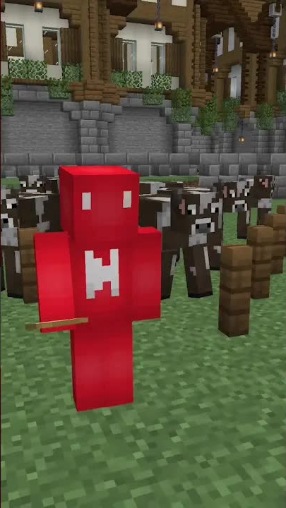 Minecraft fence tips and tricks