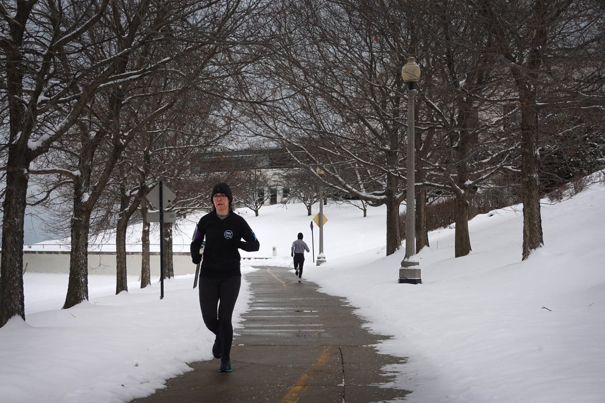 Do trees actually explode when it gets cold?