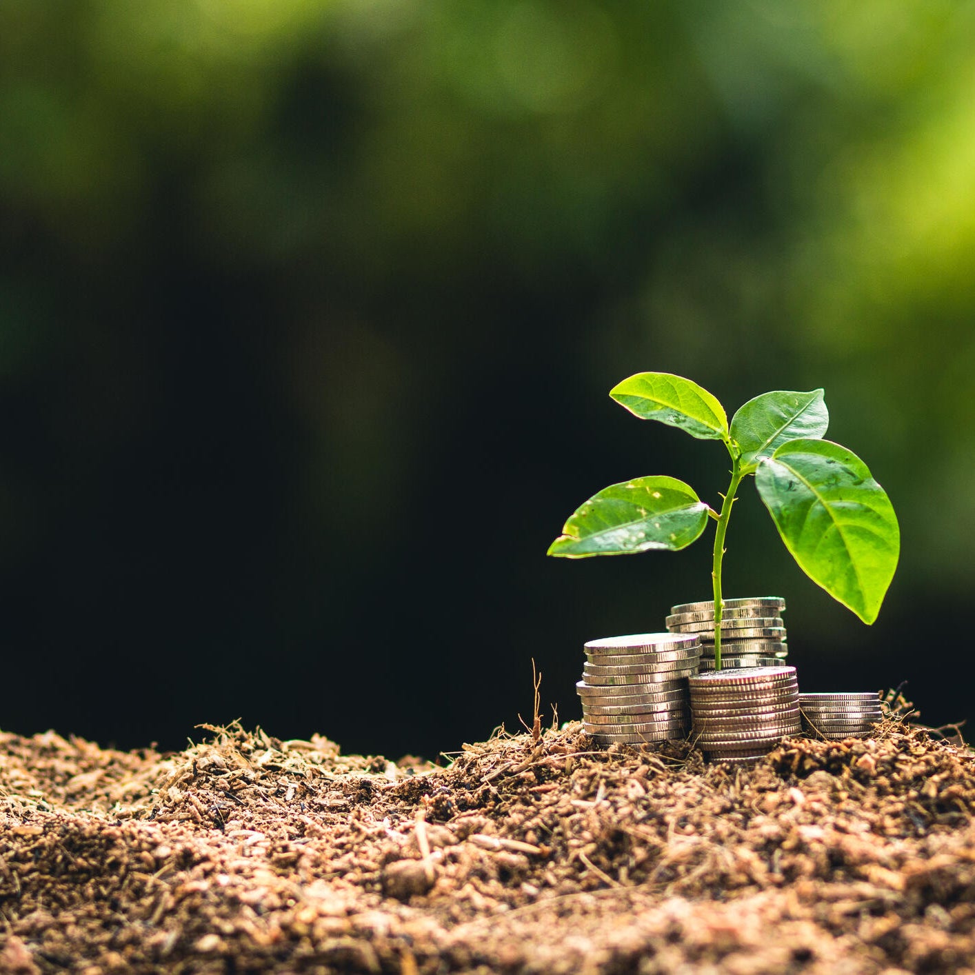 How Much Interest Will A 30 000 CD Account Earn In 2026