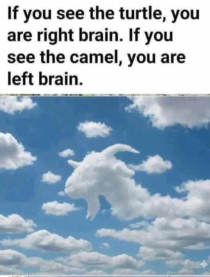 People almost had a stroke trying to read these 88 hilariously ...