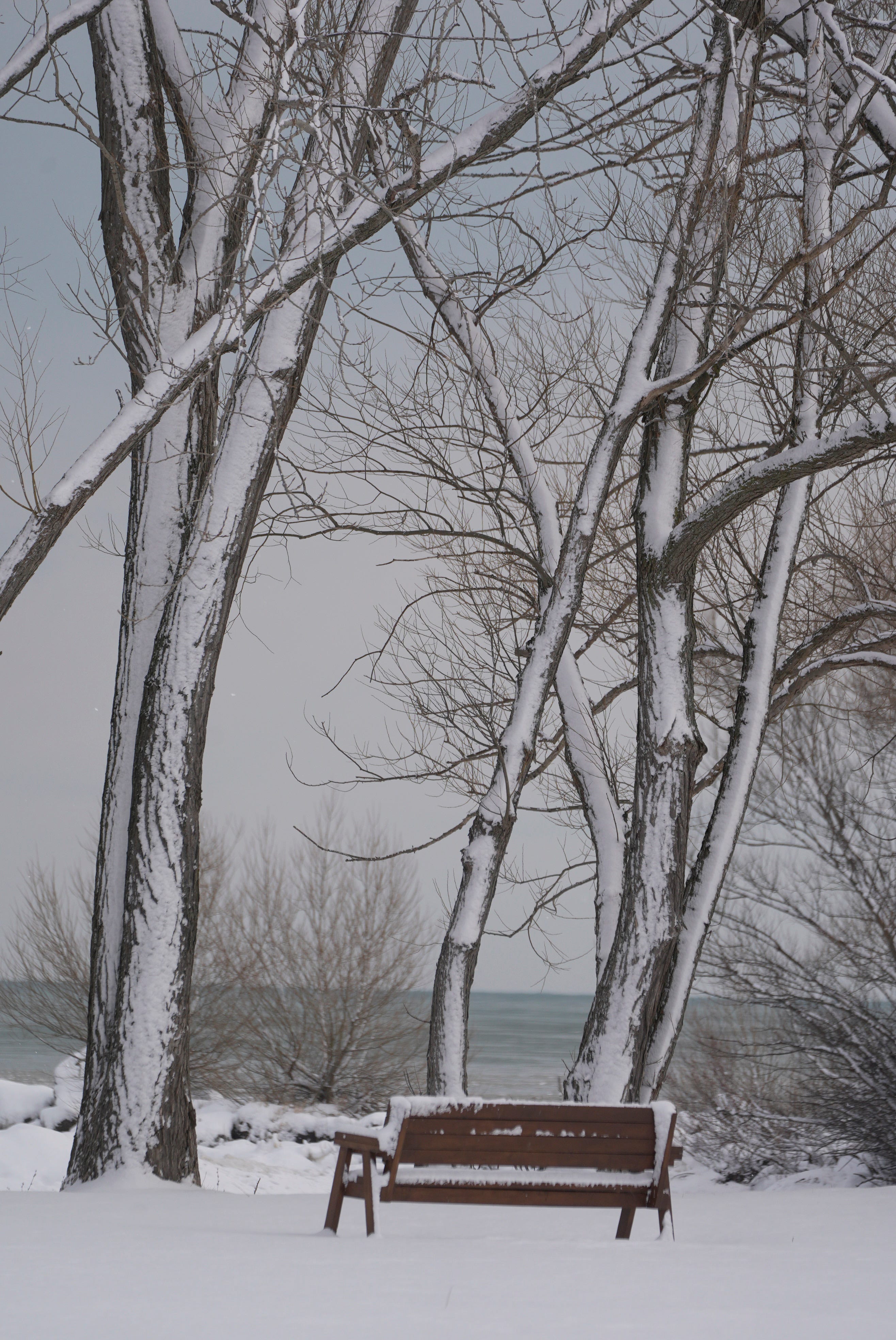 Snow squall warning issued for parts of Rochester region. What to know