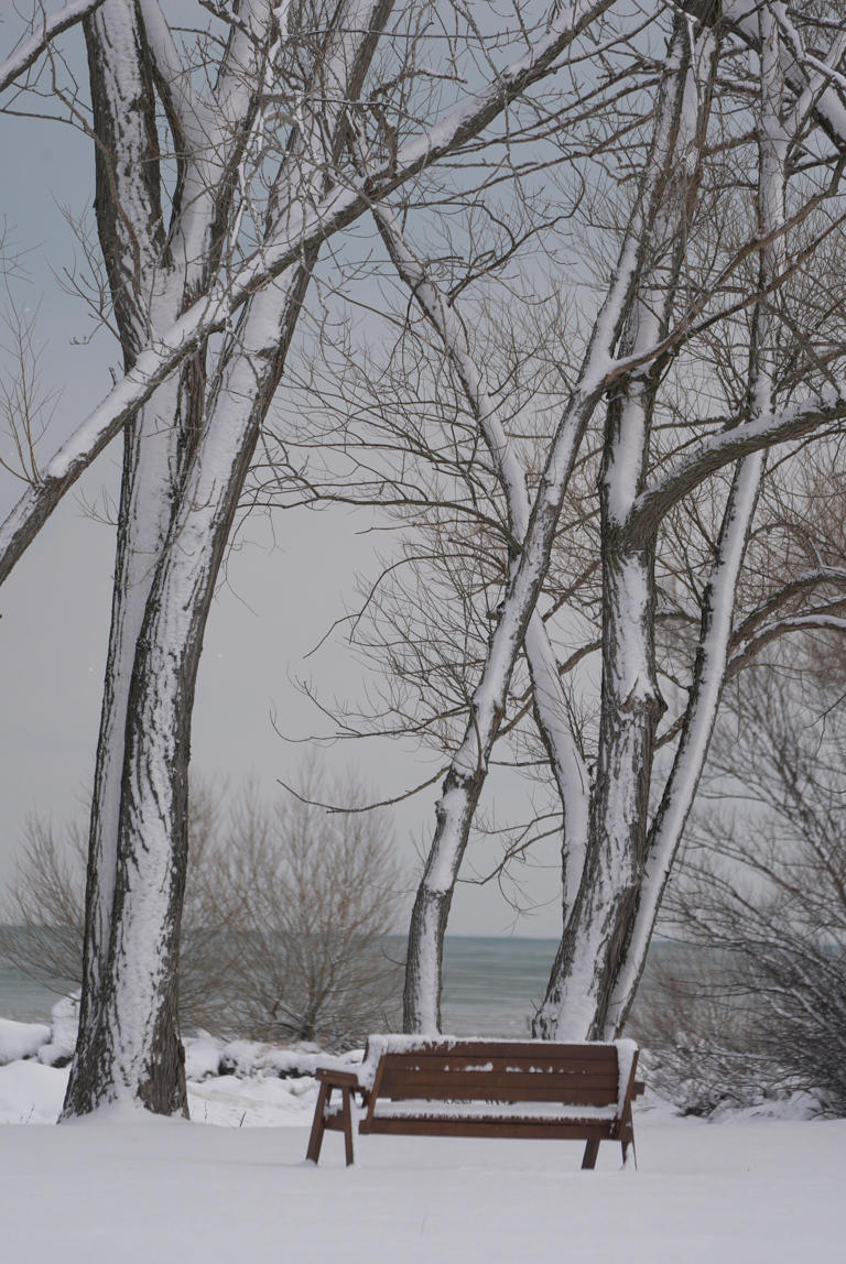Snow squall warning issued for parts of Rochester region. What to know