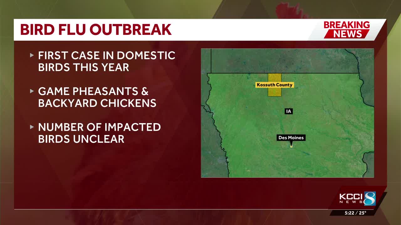 Highly pathogenic avian influenza detected in Kossuth County flock
