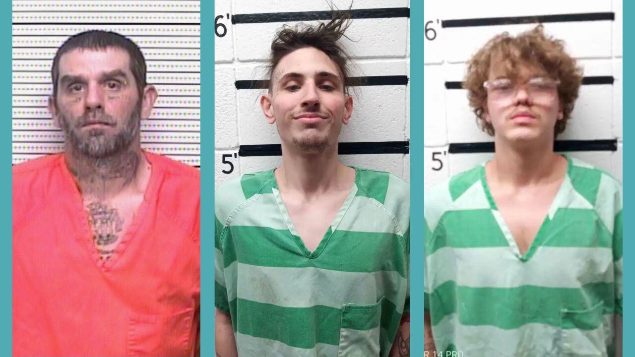 Three men face burglary, organized crime charges