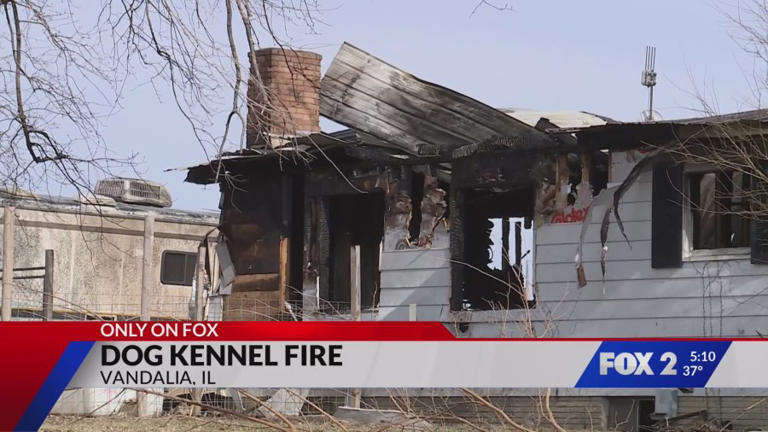 Close-knit town distraught after nearly three dozen dogs die in kennel fire