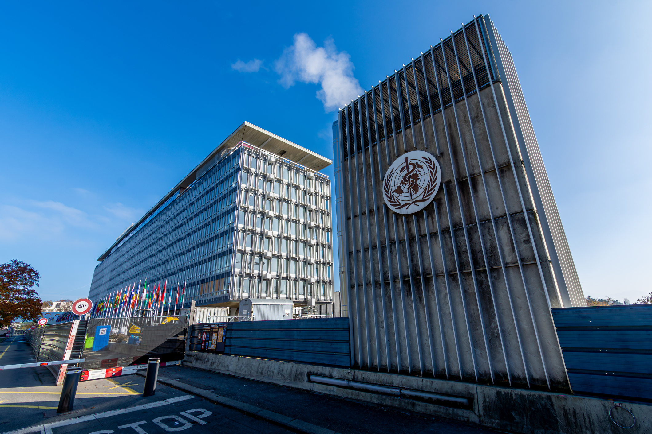 The US has pulled out of the WHO. Here’s what that means for public health