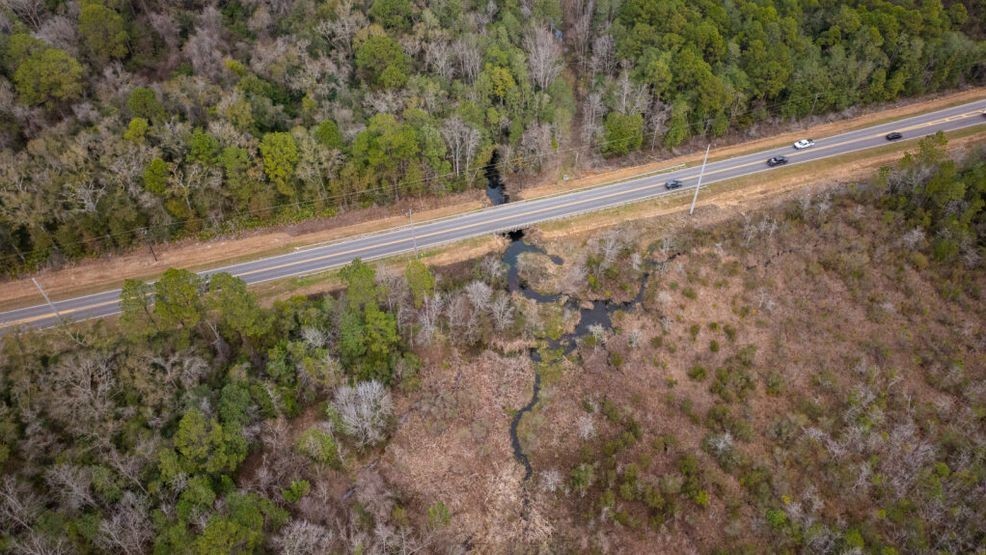 City of Mobile establishes 150-acre conservation easement along Rabbit ...