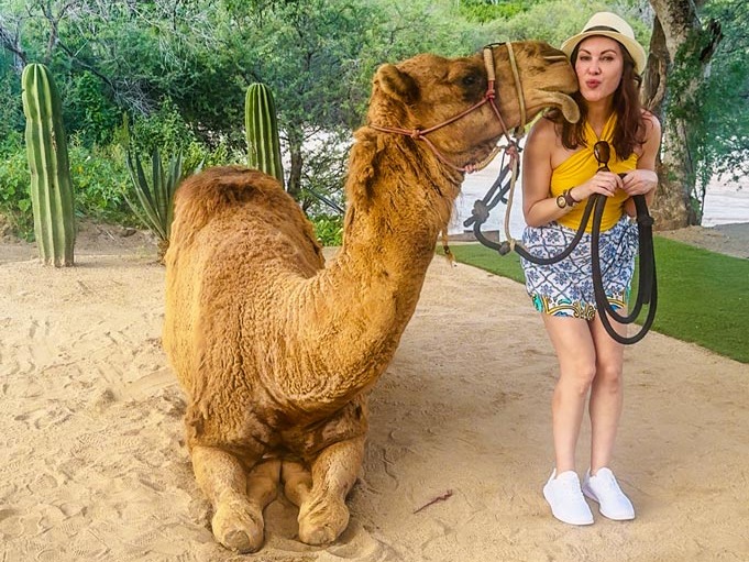 From cruise to camels: The best Cabo San Lucas excursion