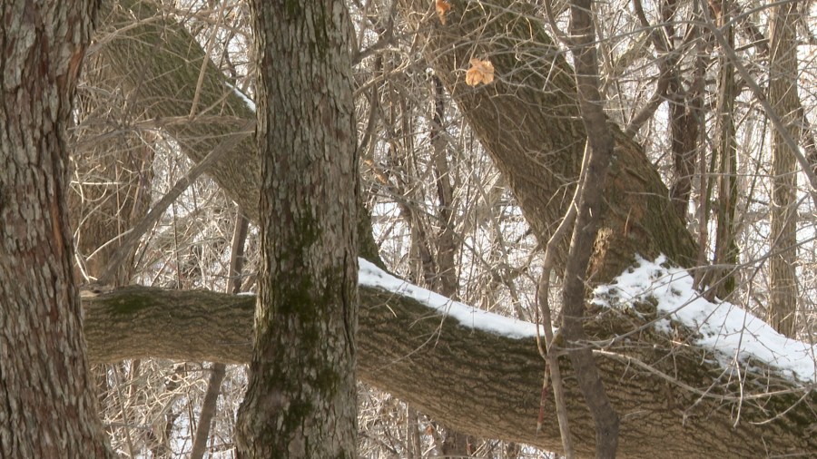 Wisconsin Department of Natural Resources debunks viral claims over ...