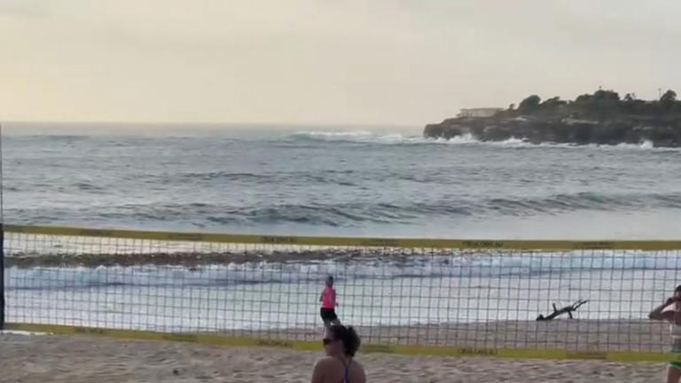 Shark alarm sounds at Coogee, Sydney