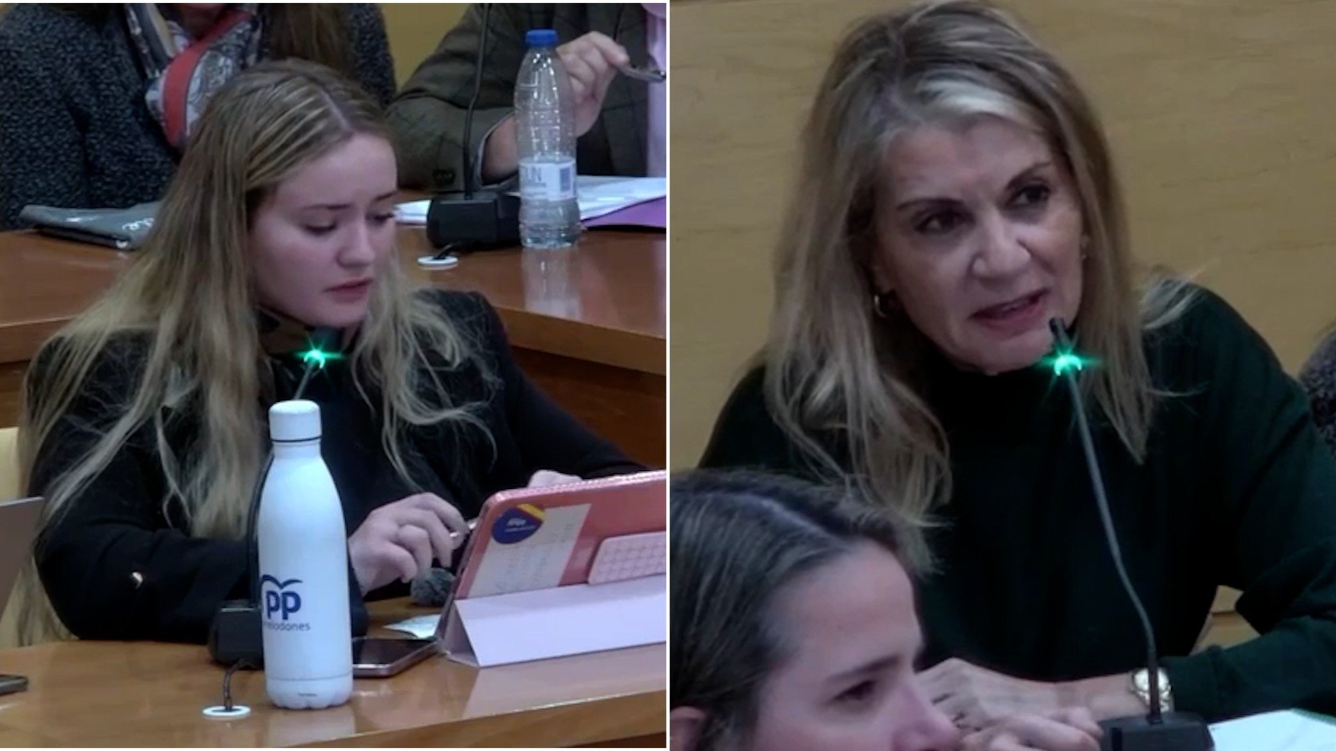Vox Torrelodones se querella contra el PP por «acusarles» de apropiarse ...