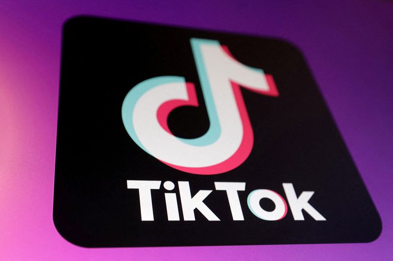 TikTok clinches deal for new US joint venture to avoid American ban<br>