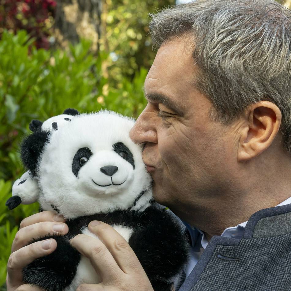 „Einfach knuffig“ – Wie China mit Pandas Söder umgarnt