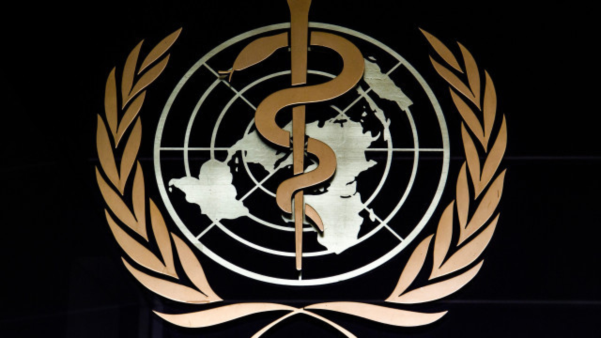 The history of the World Health Organization