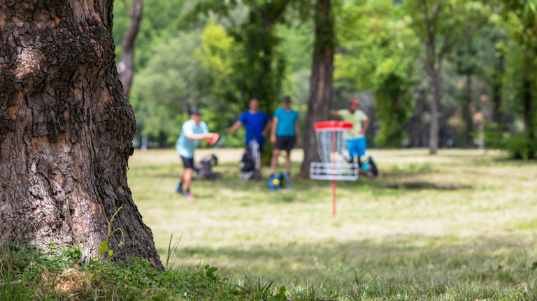 Near Lake Michigan is a charming city with nostalgic vibes, disc golf ...
