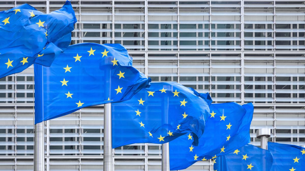 Bruselas lanza 160 millones de euros en ayudas para impulsar la ...