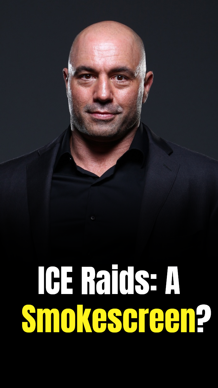 Joe Rogan suggests Donald Trump is using ICE raids and fraud ...