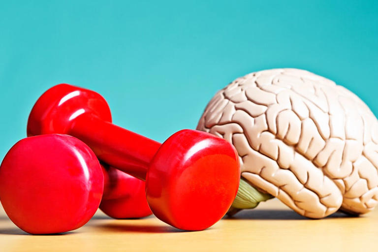 Your brain can be trained, much like your muscles – a neurologist ...