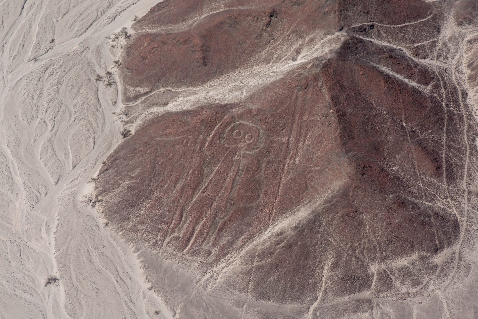 Een ontworpen landschap