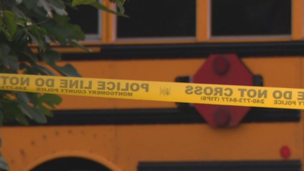 Maryland school bus driver cited for negligence in fatal crash with 11 ...