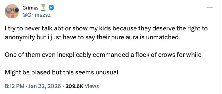 Grimes makes rare comment about co-parenting with Elon Musk