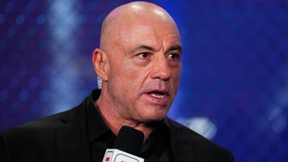 Rogan suggests Trump’s using ICE raids to distract from Epstein files