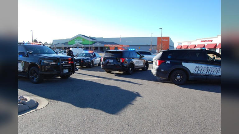 Deputies arrest 2 juvenile suspects after stolen vehicle recovered in ...