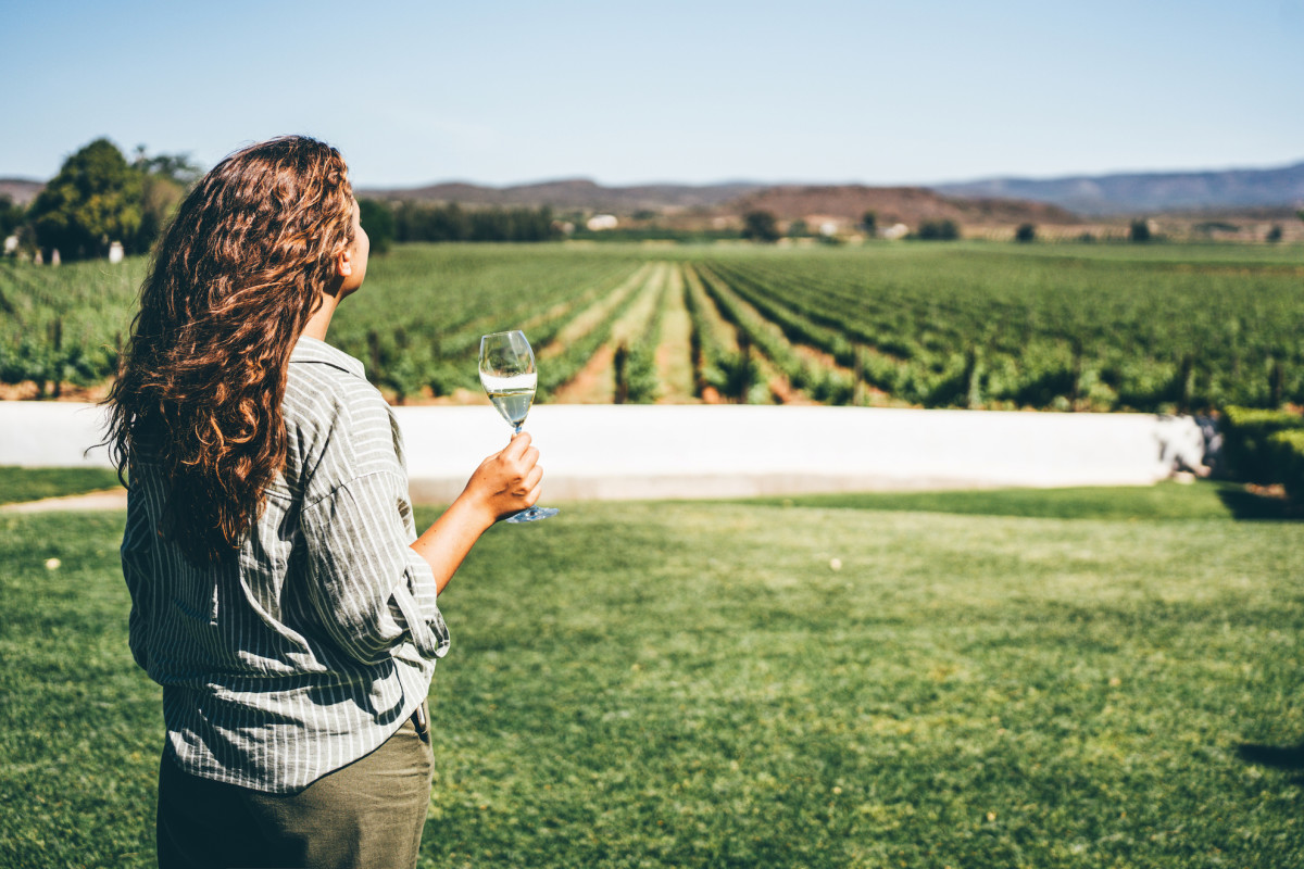 7 under-the-radar Napa wineries locals swear by