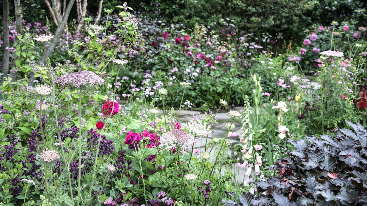 From January to December, every birth month flower has meaning ...