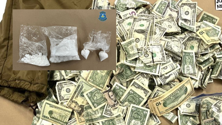 Sarasota police seize more than 400 grams of cocaine in search warrant