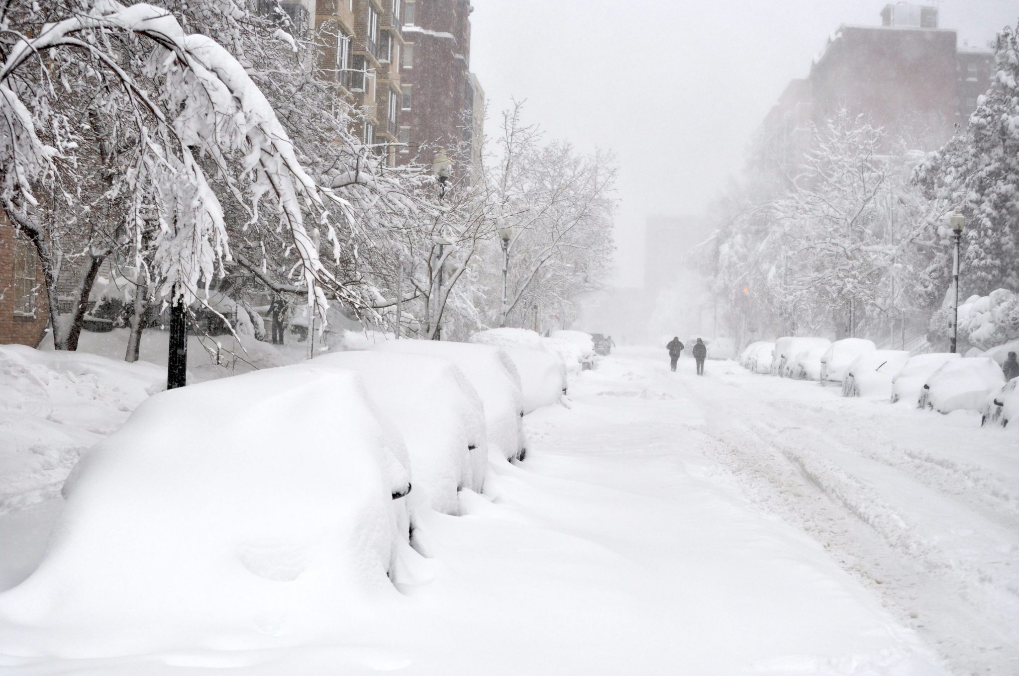 Winter storm Fern is about to slam 230 million Americans. Here’s what ...