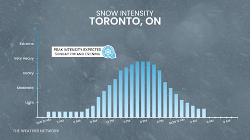 Widespread 20-30+ cm of significant snow expected in Ontario