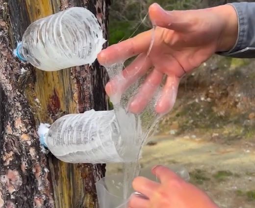 Crafting with reflections: Discover the art of mirror and glass