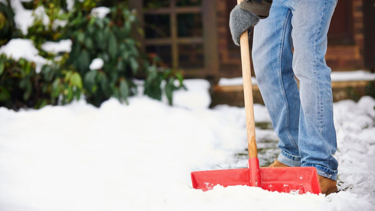 This $40 ergonomic snow shovel is the fastest, cheapest way to clear ...
