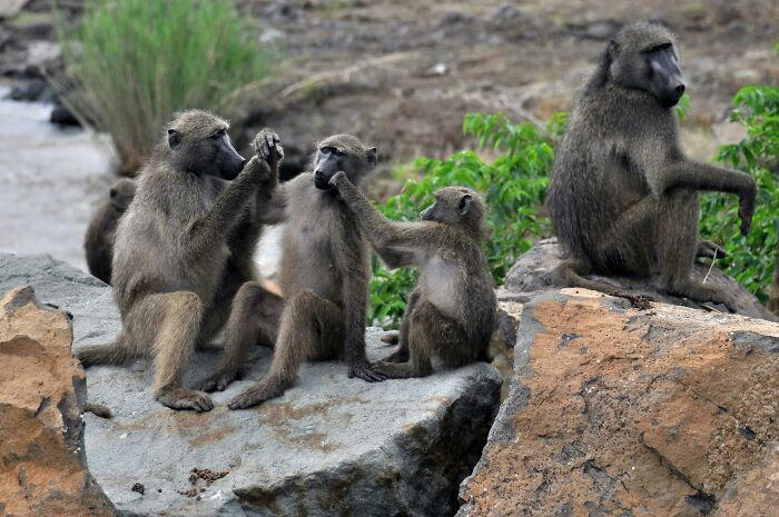 What are zoo secrets that people wouldn’t believe?: 18 zookeepers answer