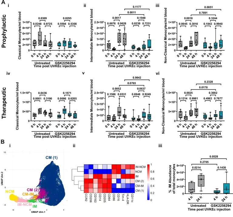 Scientists find a natural 'off switch' for inflammation in humans