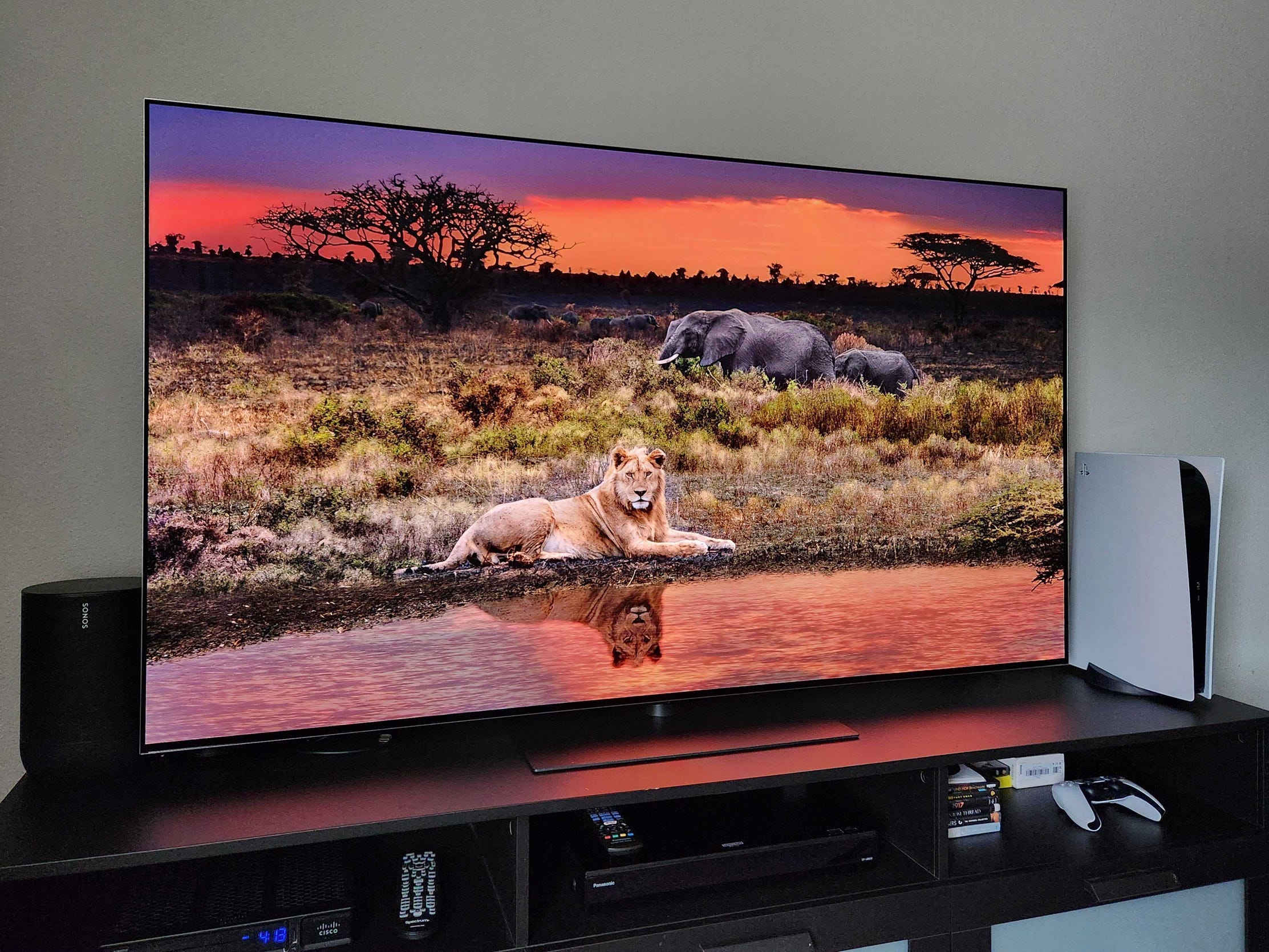 An angled view of an LG G5 TV displaying an image of a lion in front of a pack of elephants.