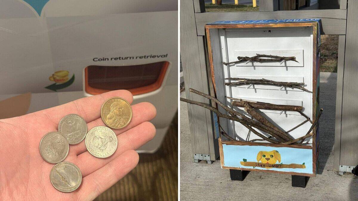 Unpredictable finds that turned out to be delightful