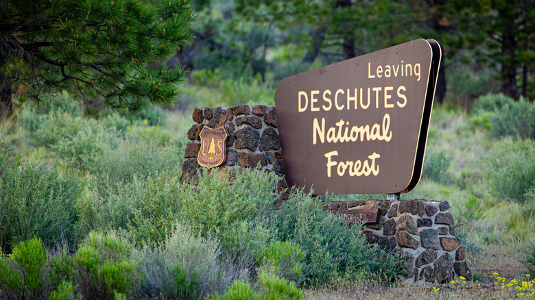 National Forest exit sign