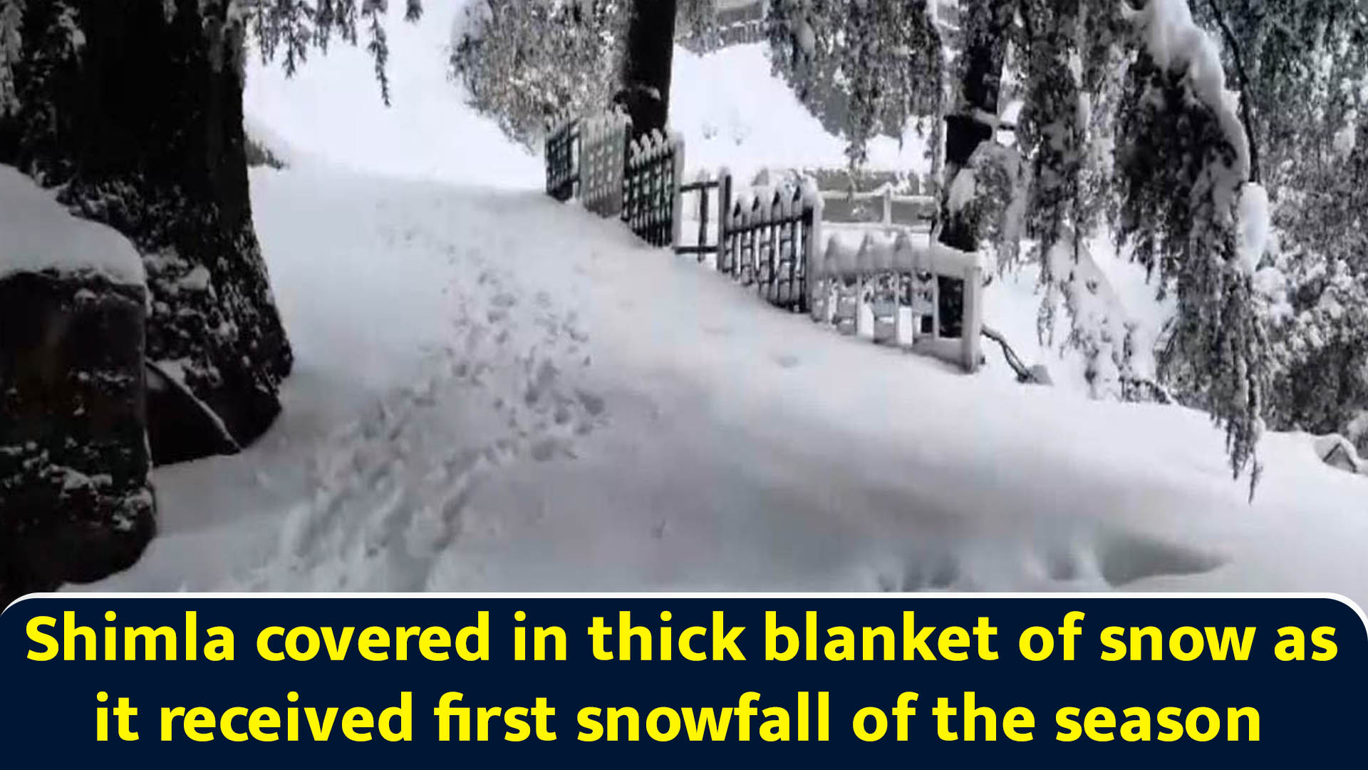 Shimla covered in thick blanket of snow as it received first snowfall ...