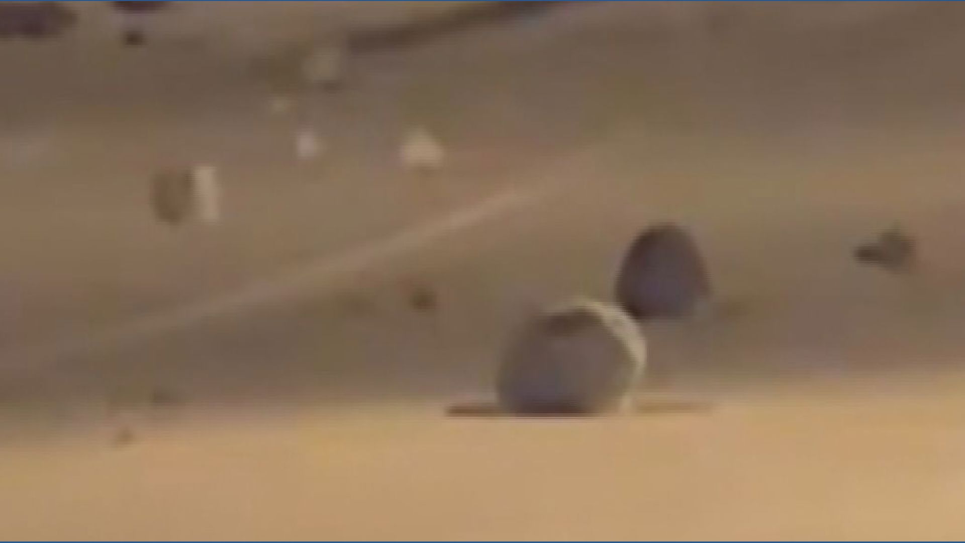 Upstate New York sees pre-rolled snowballs