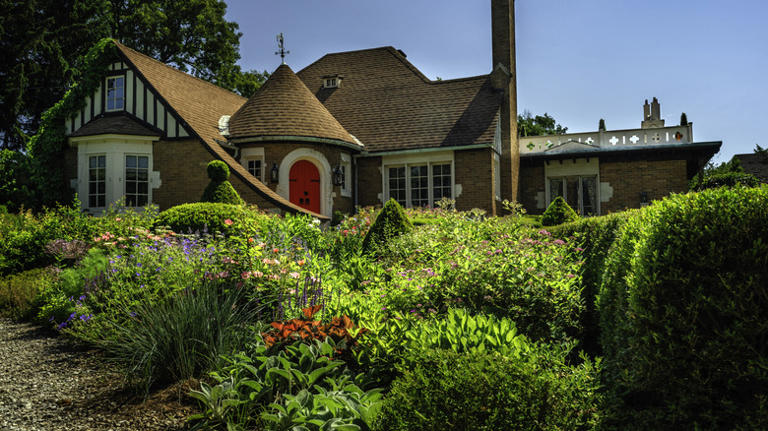 The planting error that's attracting unwanted birds too close to your home
