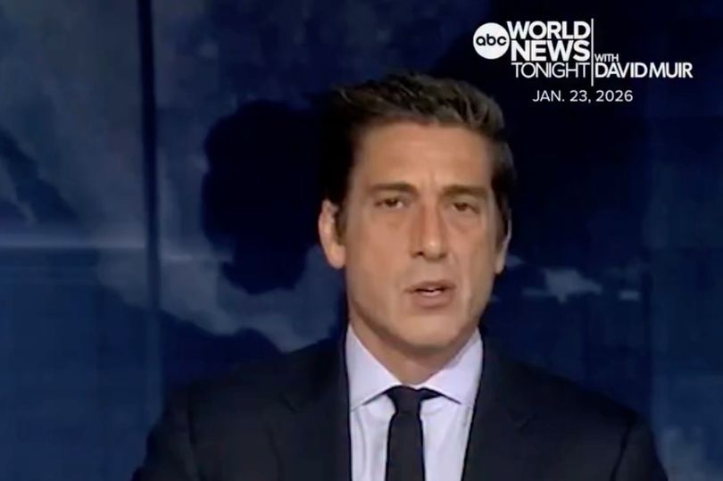 ABC David Muir fans stress 'he's lucky to be alive' after shock ...