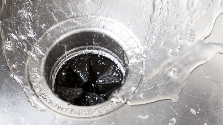The kitchen scrap that should never go down the garbage disposal drain